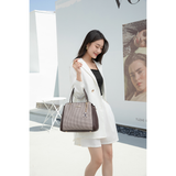 Palomino Clarina Handbag - Coffee